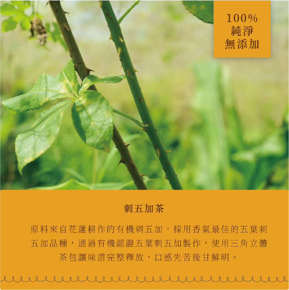 花蓮分會|淺草堂有幾刺五加茶12入(花蓮限量)