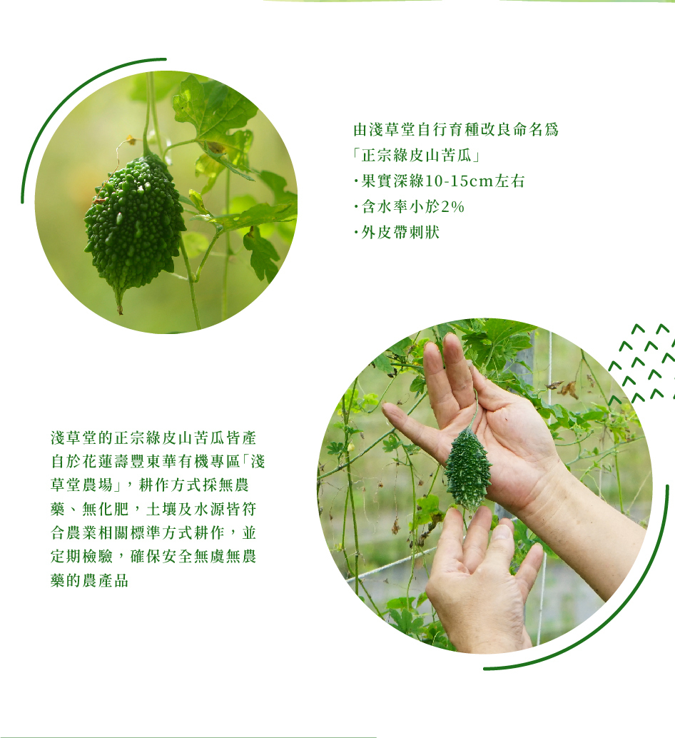 花蓮分會|淺草堂有機山苦瓜12入(花蓮限量)
