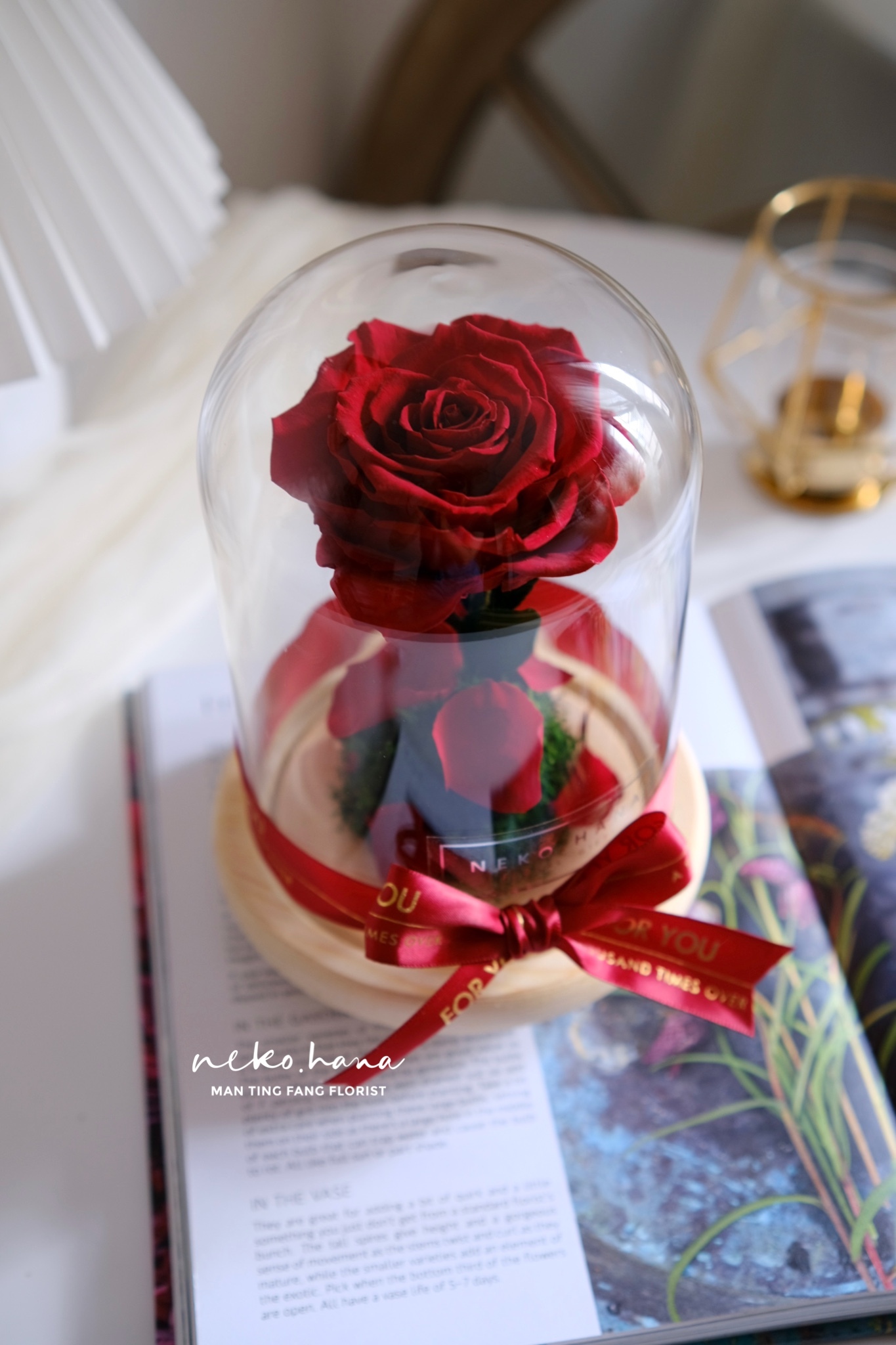 巨型厄瓜多紅玫瑰