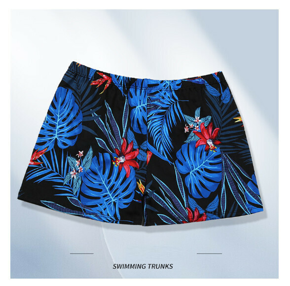 Popular adult boxer swimming trunks [L-2XL size] [color No. 2] (contact customer service after placing the order to confirm the delivery size)