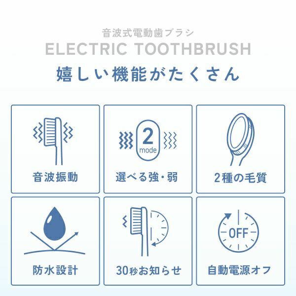 Dretec 聲波電動牙刷 TB-316