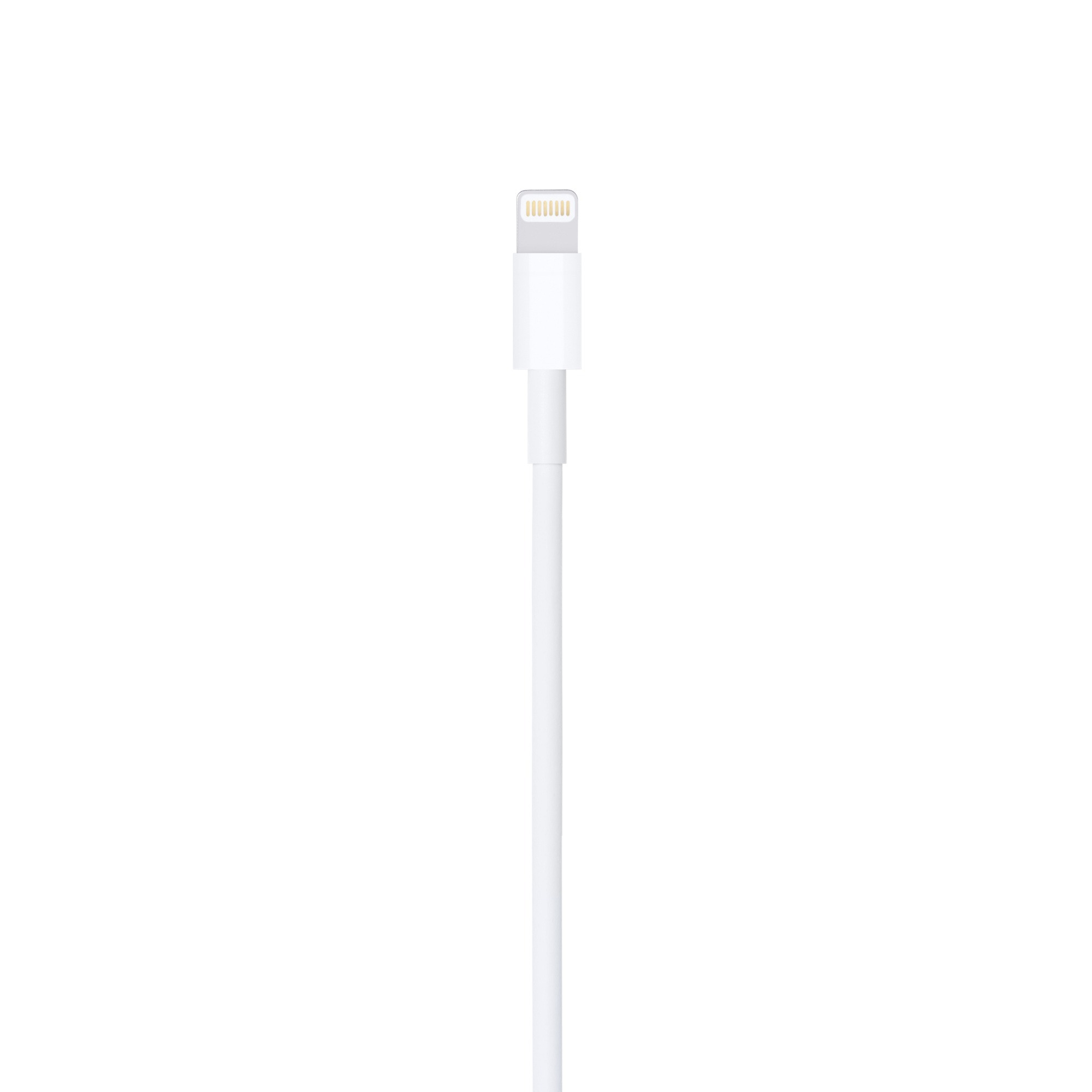 Apple Lightning 至 USB 連接線 (1 米)