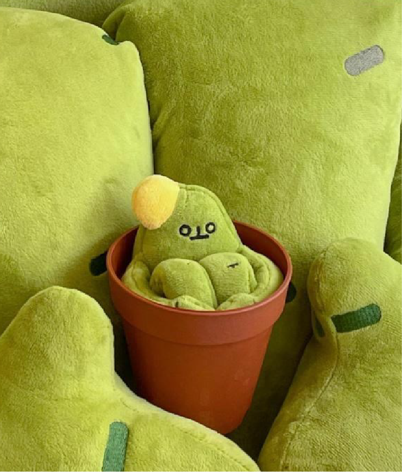 lazycactus｜mni-doll