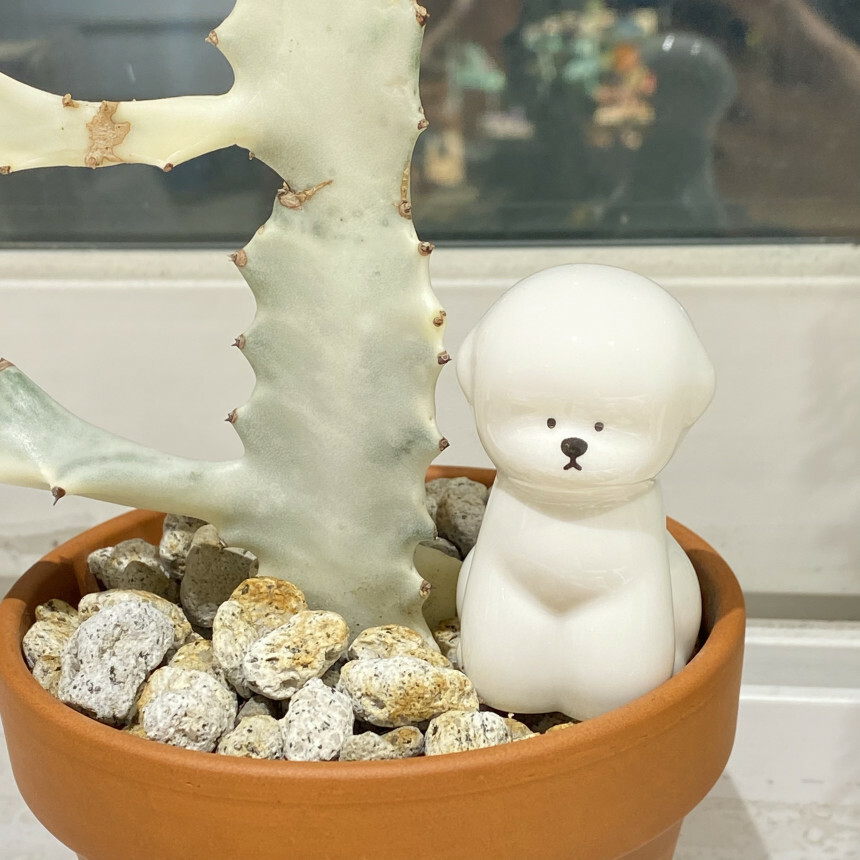 Tteokguknuna 比熊花園小仙子