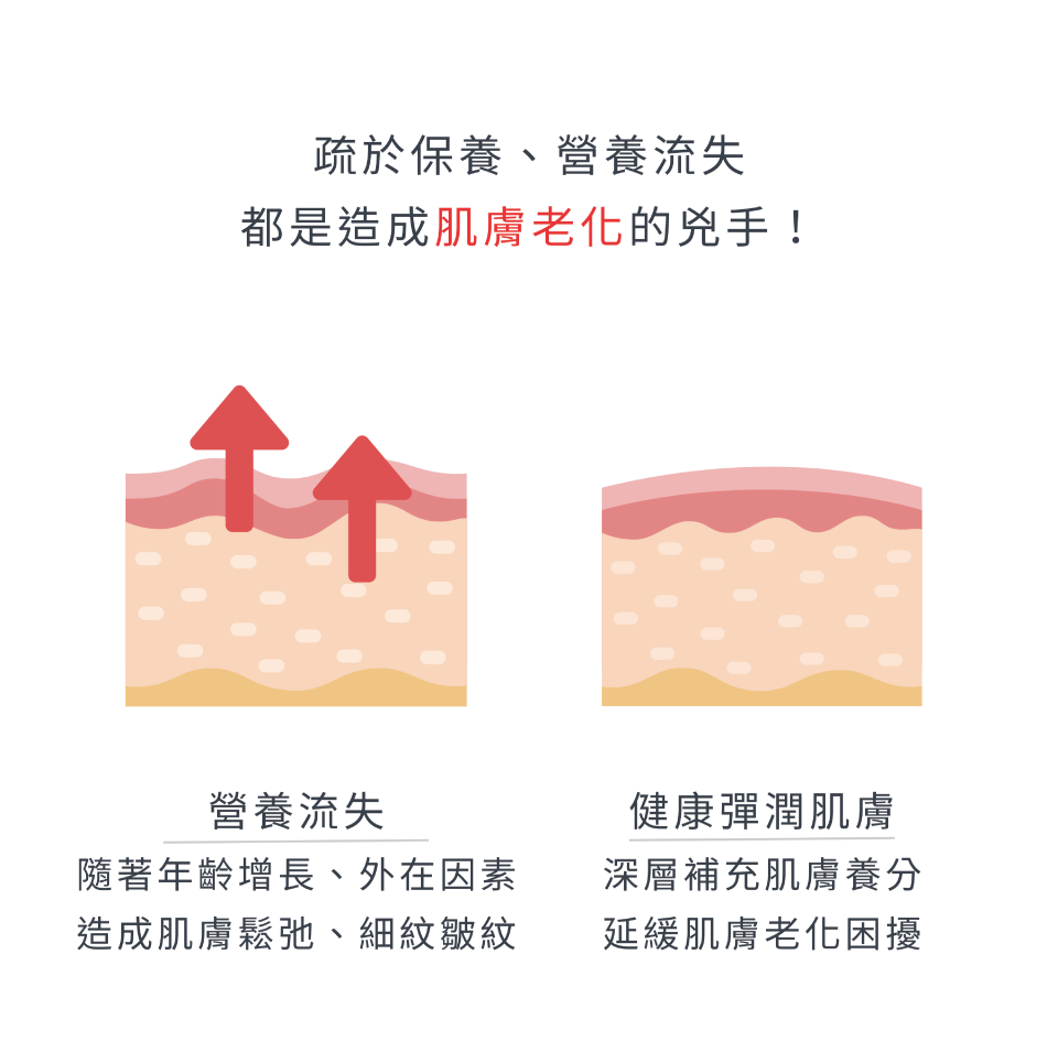 疏於保養、營養流失 都是造成肌膚老化的兇手！