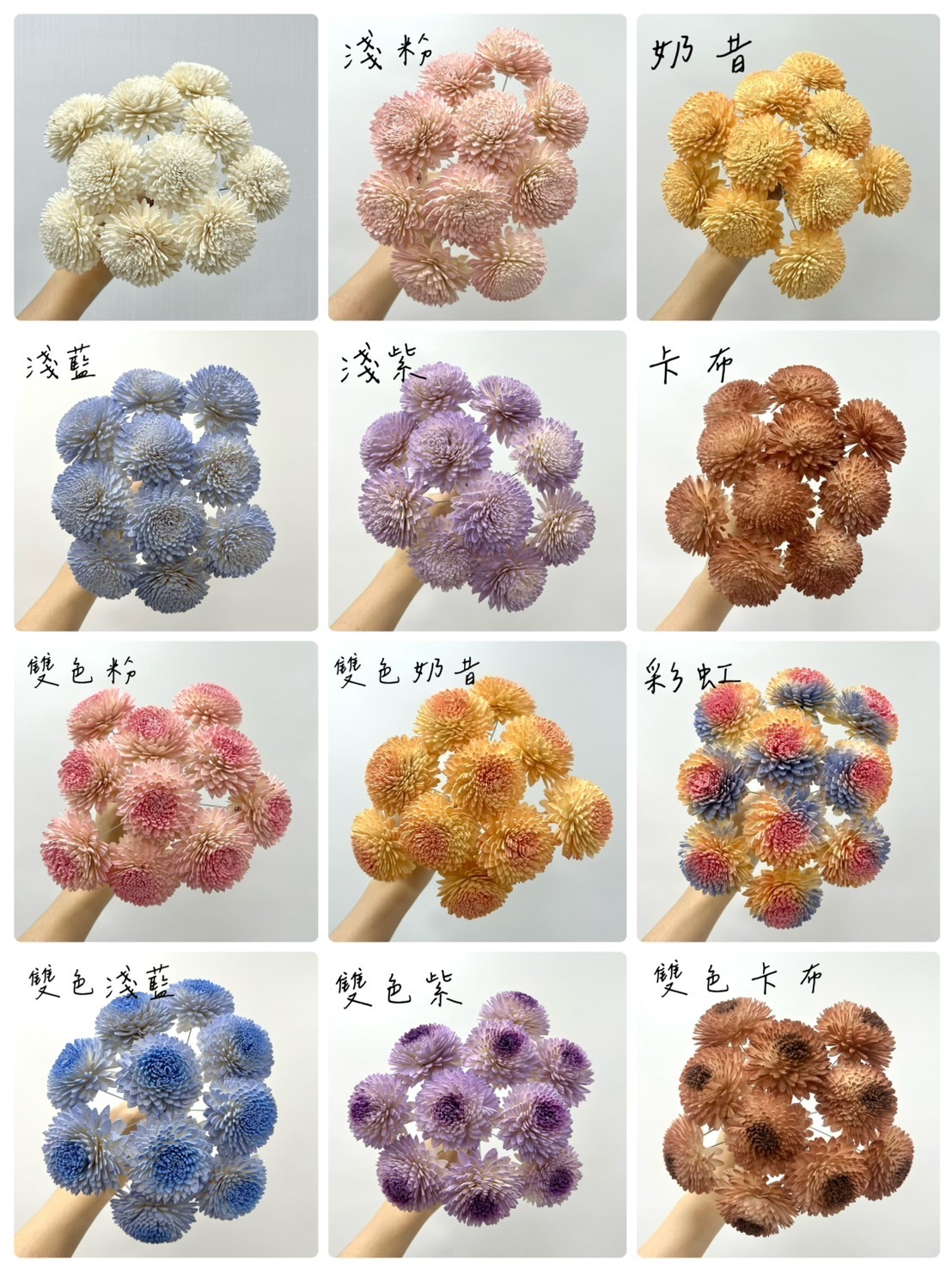 越南索拉花 大理菊 6CM <十支一把>