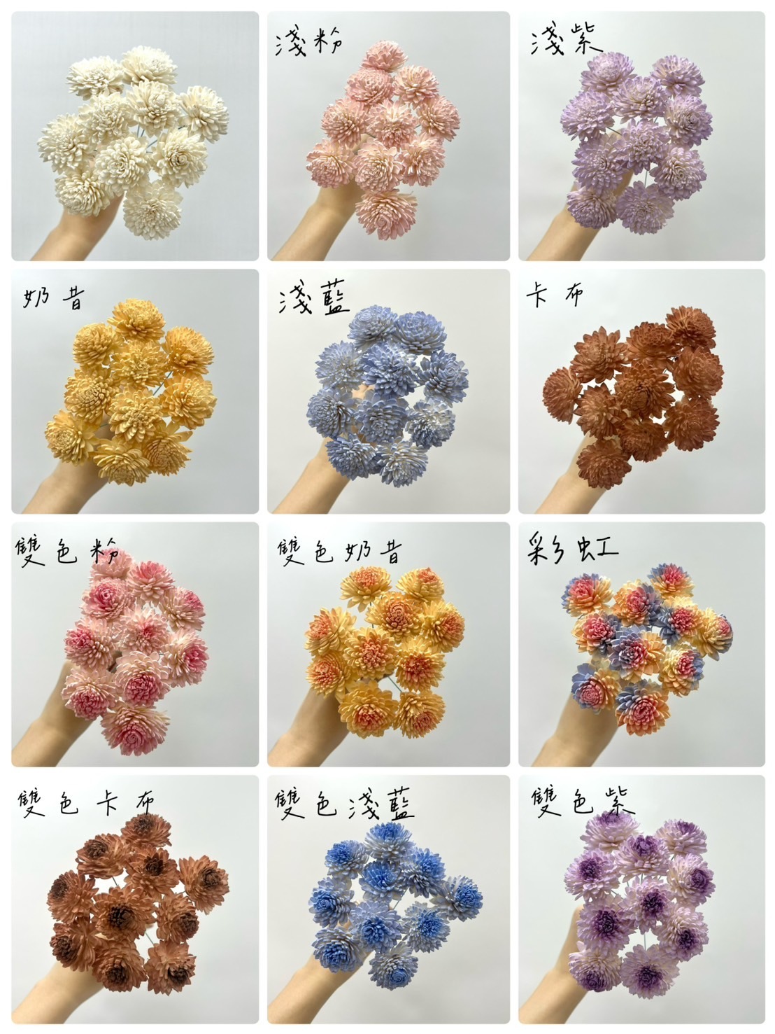 越南索拉花 大理菊 4CM <十支一把>