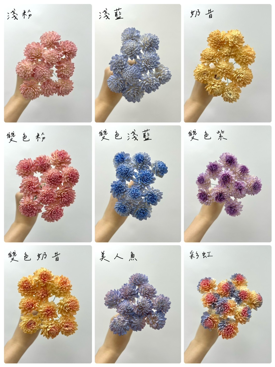 越南索拉花 大理菊 2CM<十支一把>