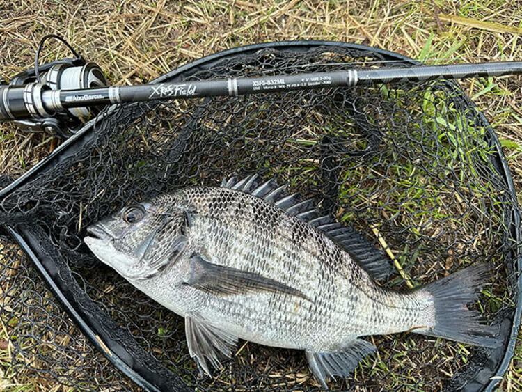 Abu Garcia 24 XROSS FIELD 系列竿款
