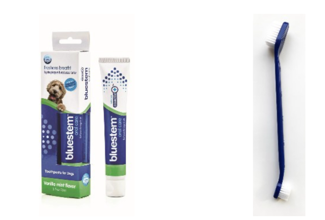Bluestem 牙菌清牙膏刷套裝-香草薄荷味70g（狗狗適用）