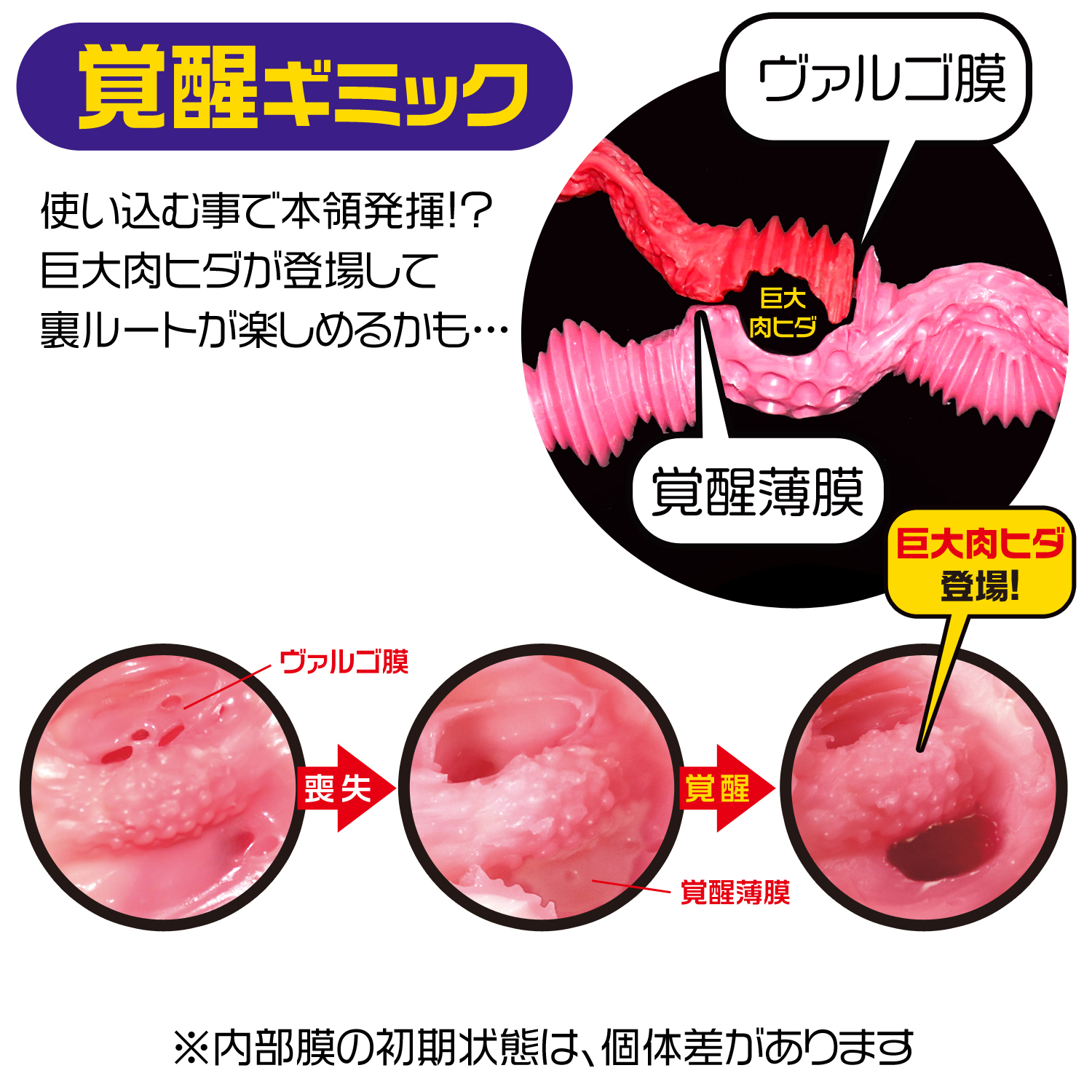 Magic eyes 極彩玫瑰情人 軟版 雙穴飛機杯