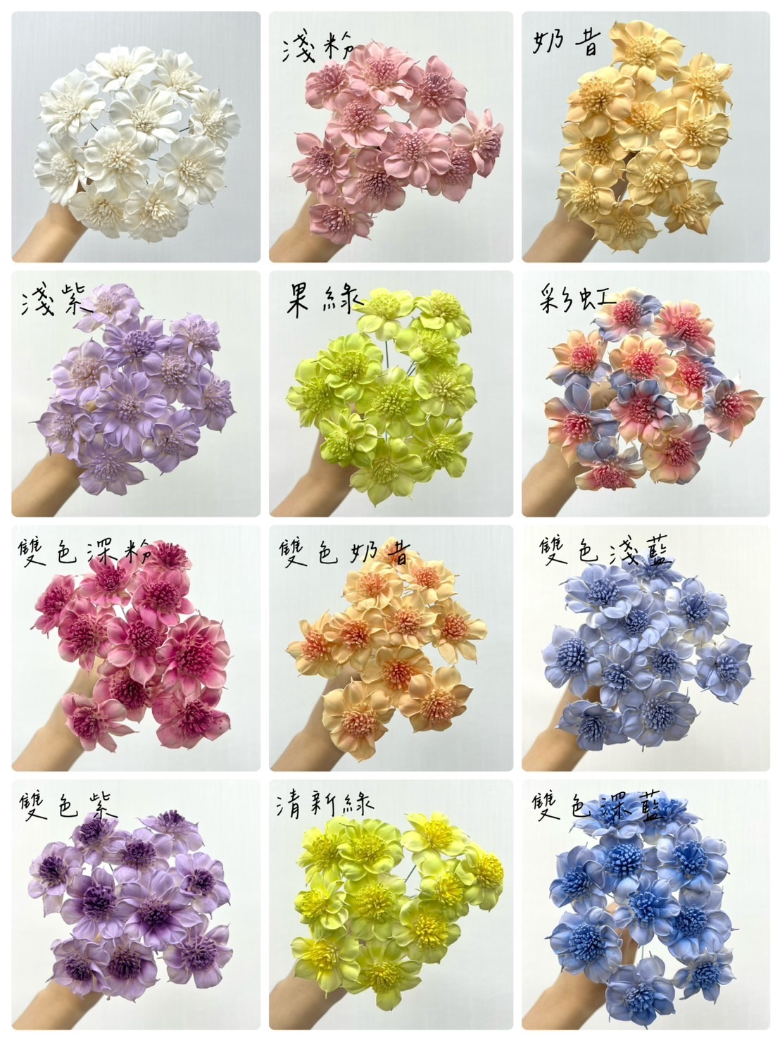 越南索拉花 圓葉水仙百合 4CM<十支一把>