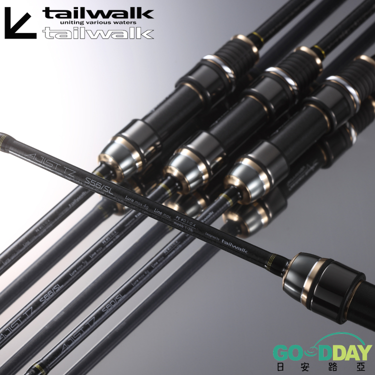 tailwalk AJIST TZ 24 model