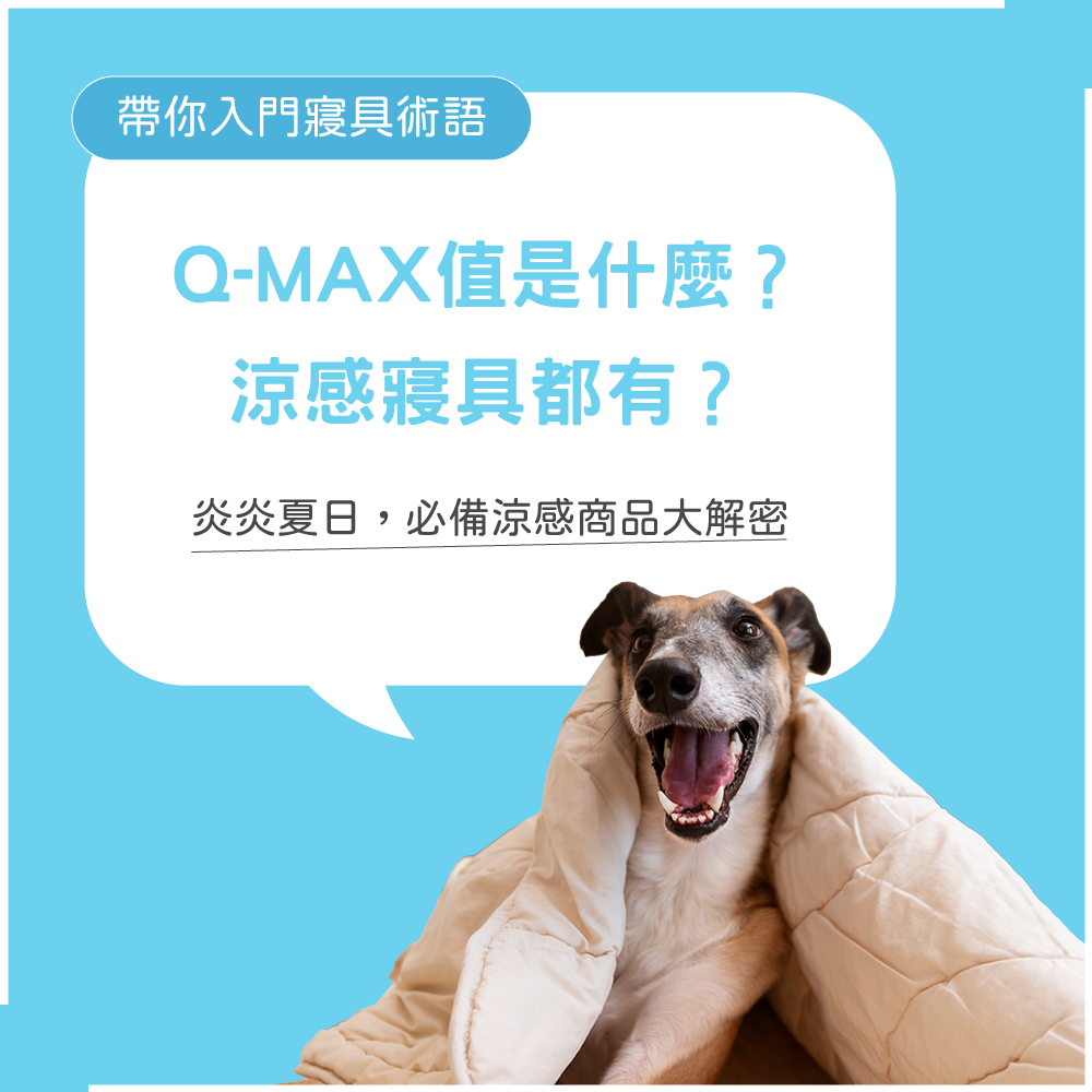 Q-MAX是什麼？