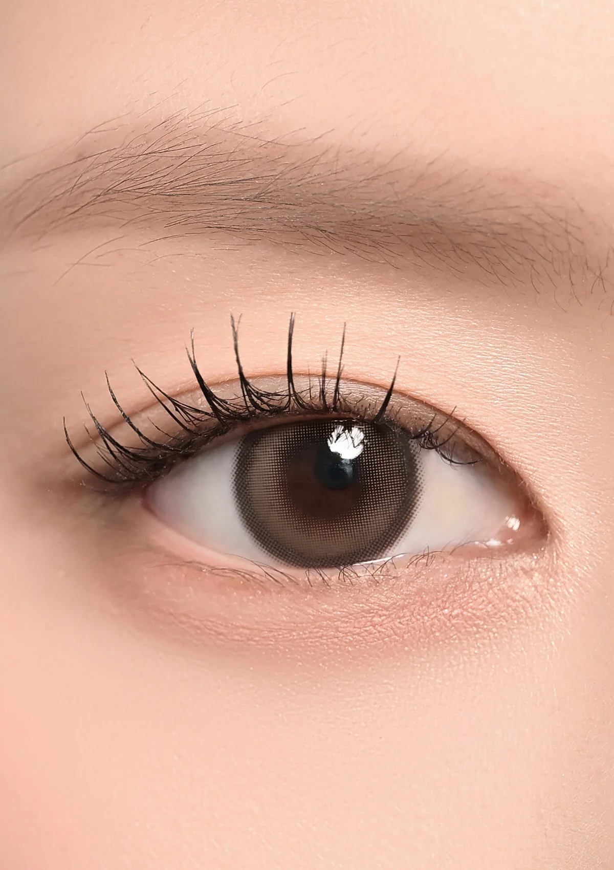 CHUU - Milk & Tea Monthly (Cream Mocha)