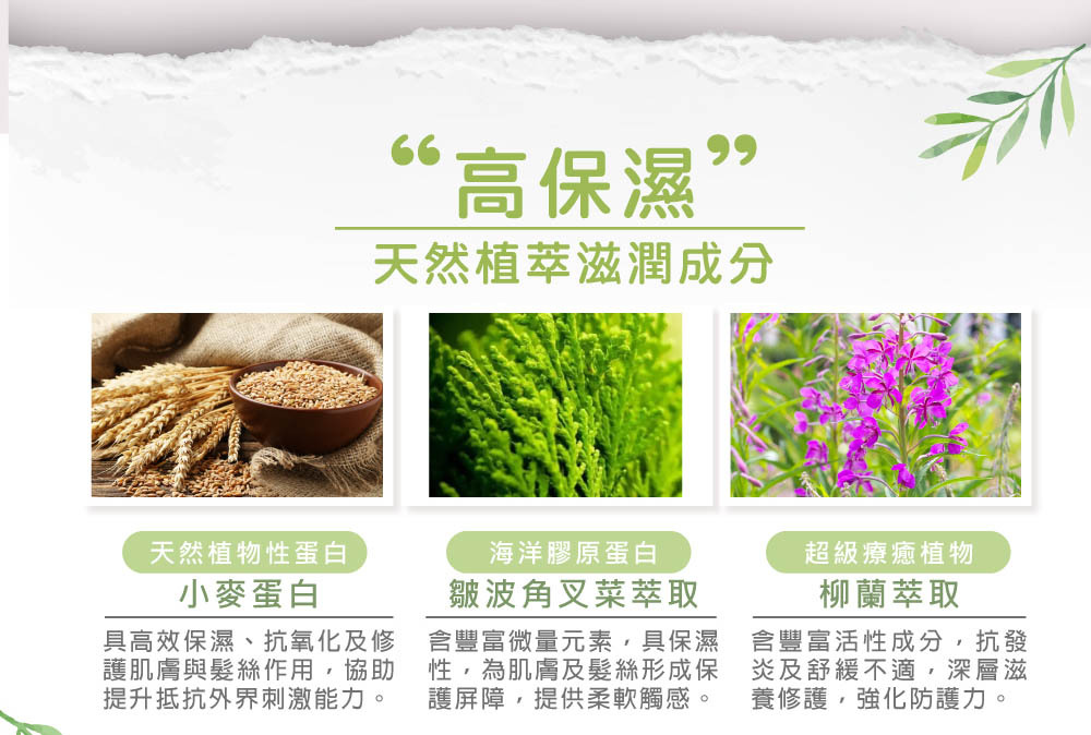 雲朵寶寶2合1洗沐慕斯-添加天然植萃保濕成分,讓洗後的肌膚滋潤不乾澀。