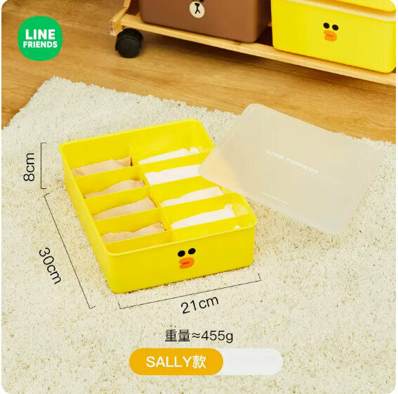 Hot-selling storage box for personal clothing with compartments (SALLY model 10 compartments [covered/transparent and visible])