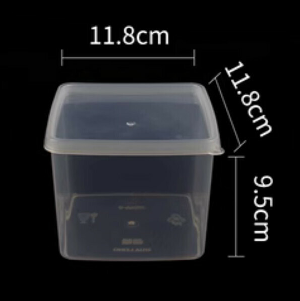 Popular rectangular plastic transparent crisper (A5-0.85L)