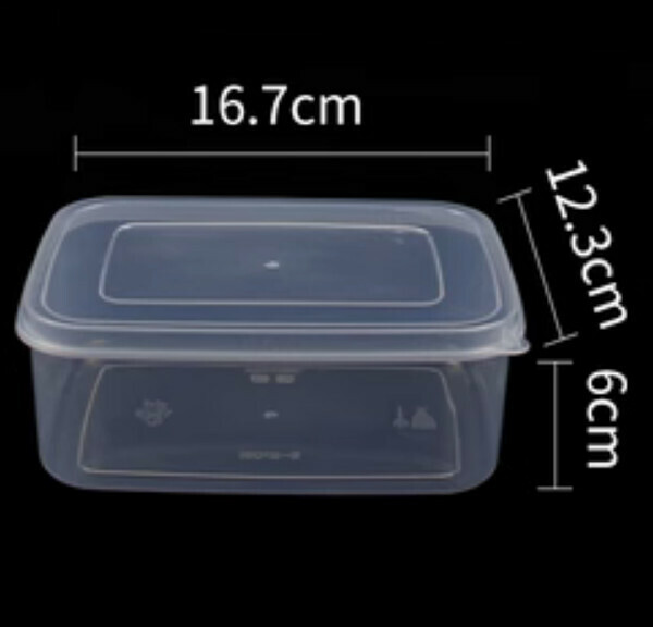 Popular rectangular plastic transparent crisper (B2-0.9L)