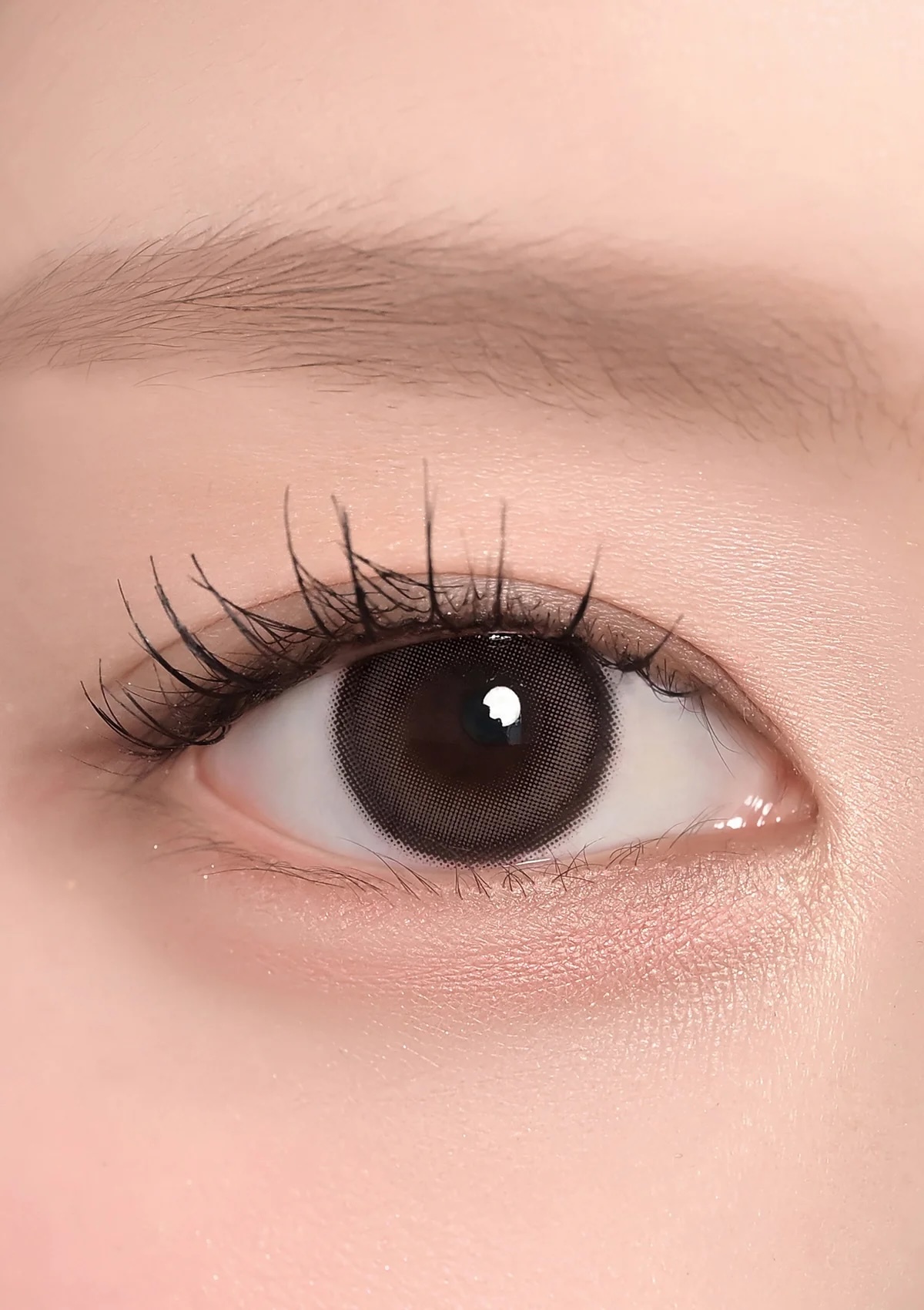 CHUU - Milk & Tea Monthly (Cream Choco)