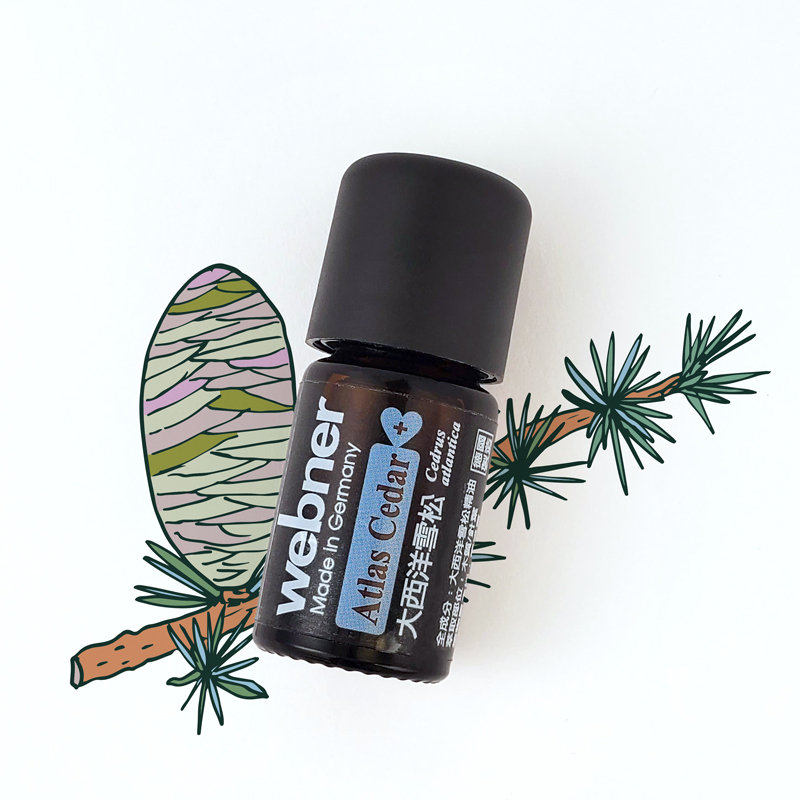 webner 葦柏納｜大西洋雪松單方精油 5ml