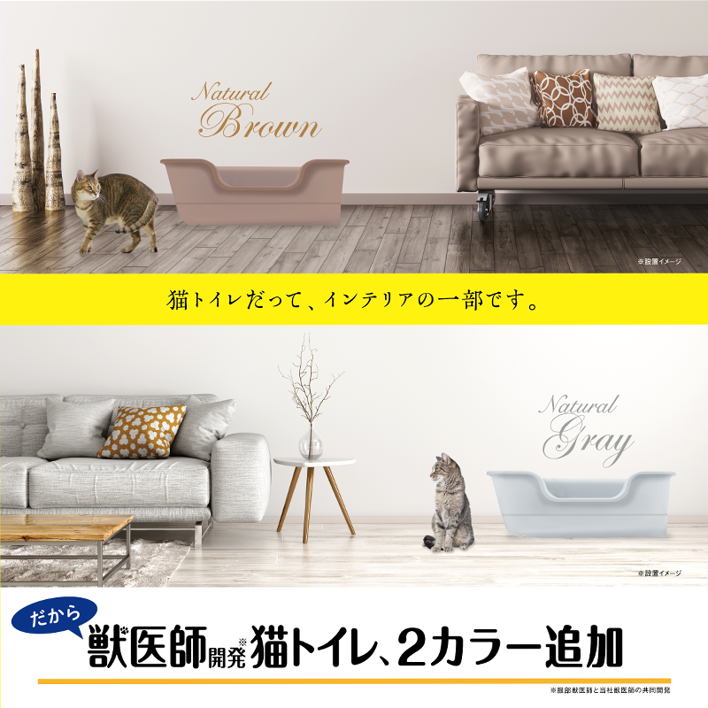 (日本製) LION 獸醫師開發「貓體工學 - 智慧寬幅結構」貓砂盤 (半透明/啡色)