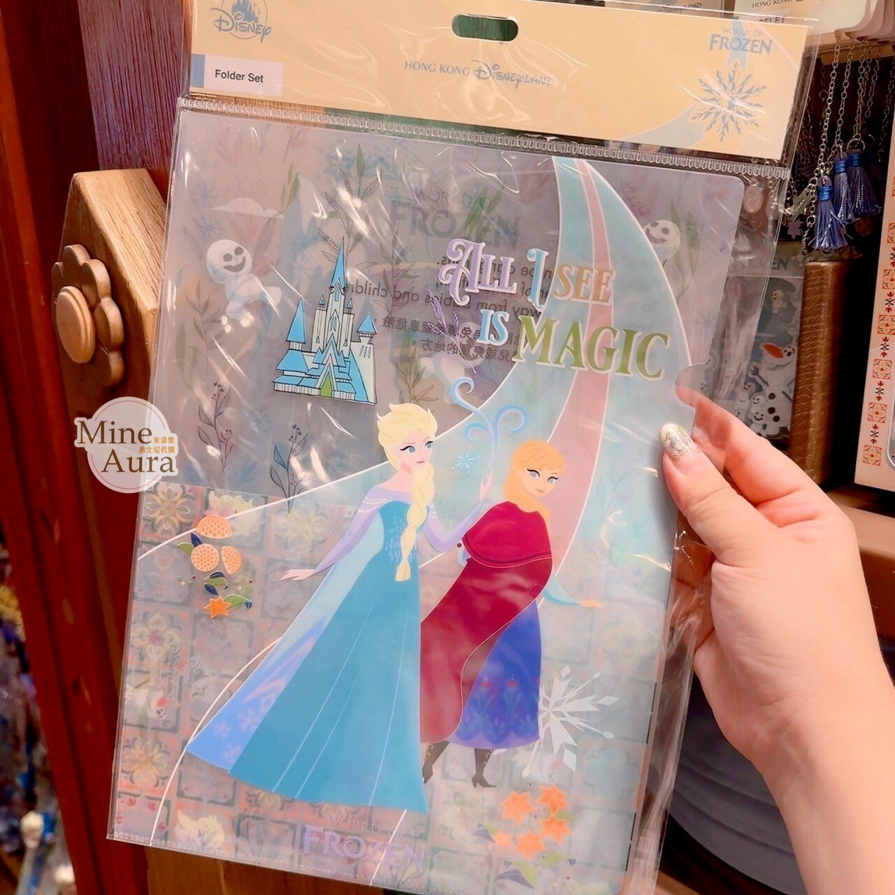 World of Frozen 限定 圖案 資料夾 文件夾 收納夾 冰雪奇緣 Frozen -香港迪士尼樂園