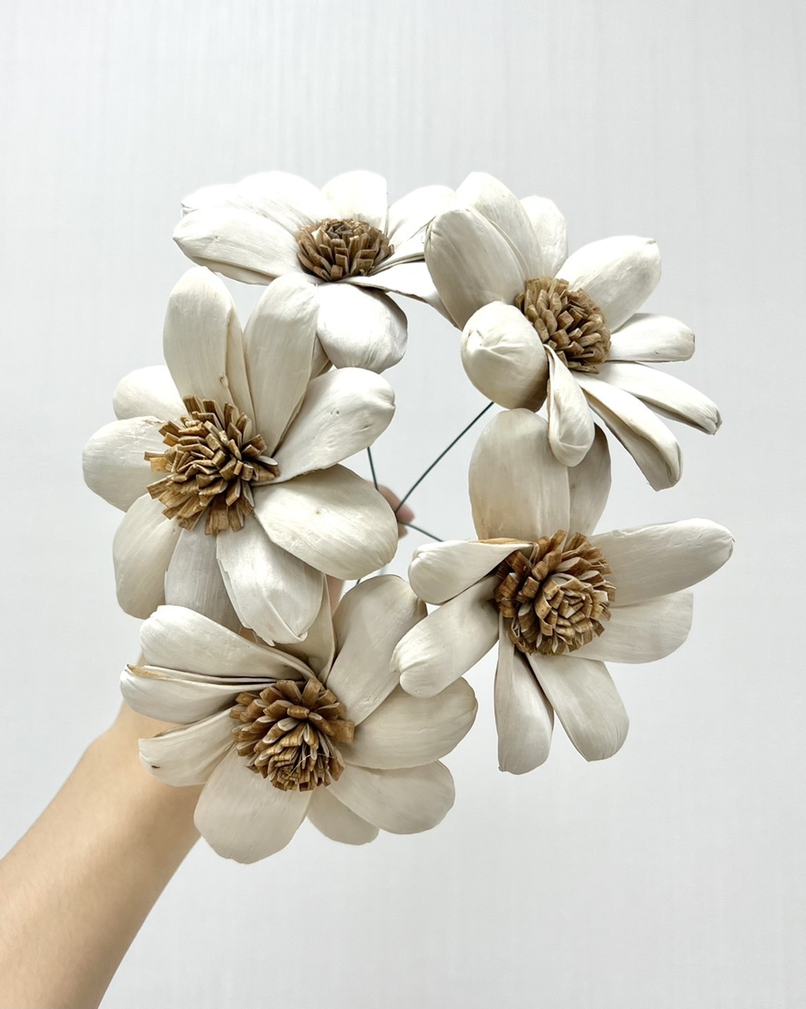 泰國索拉花 雛菊 10CM  <五支一把>  (高品質)