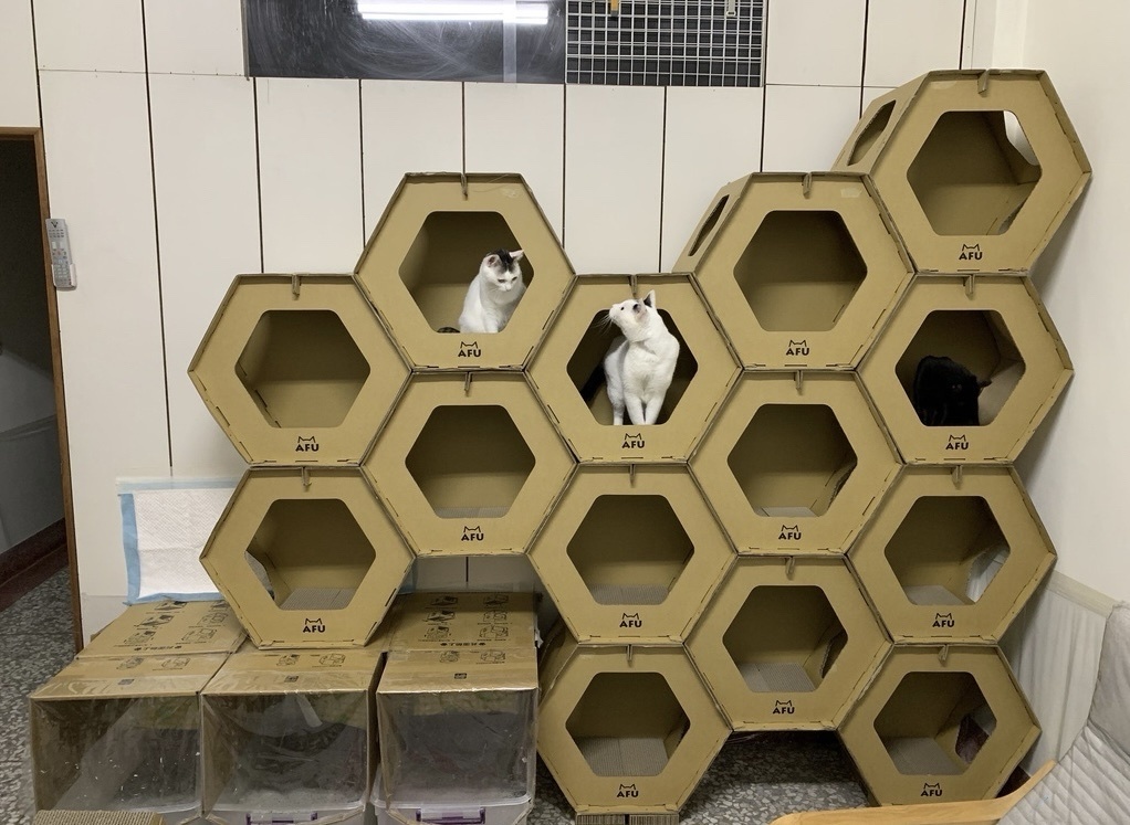AFU 特式蜂巢貓屋（可單用或多個摺疊）每個尺寸: L58cm* W38cm* H50cm