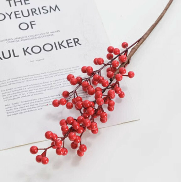 Popular decorative furnishings [Red Fortune Fruit]