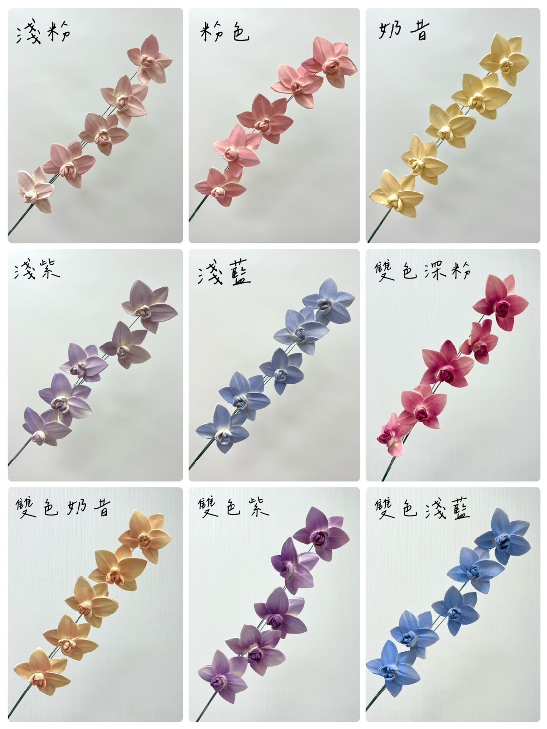 越南索拉花 蝴蝶蘭 6CM<十支一把>