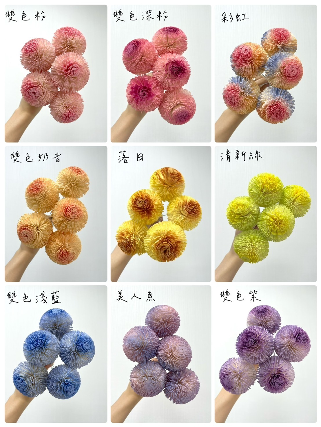 越南索拉花 乒乓菊 6CM<五支一把>