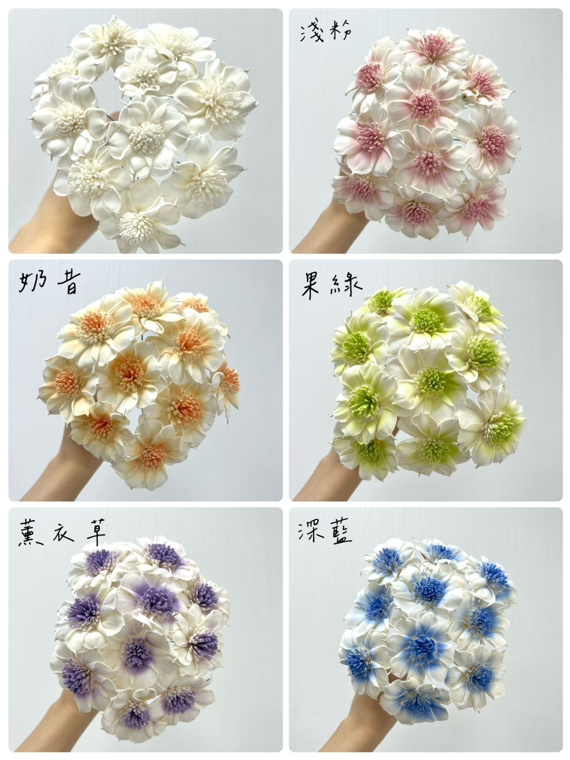 越南索拉花 圓葉水仙百合 6CM<十支一把>