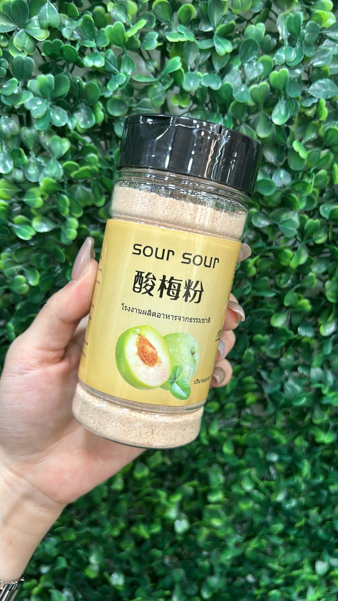 泰國soursour 酸梅粉 120g