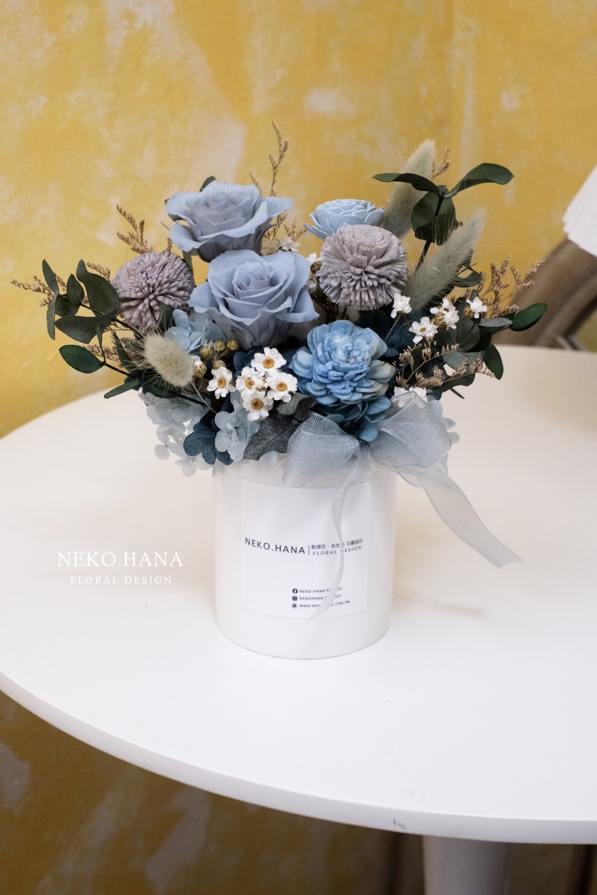 藍灰色色永生盆花