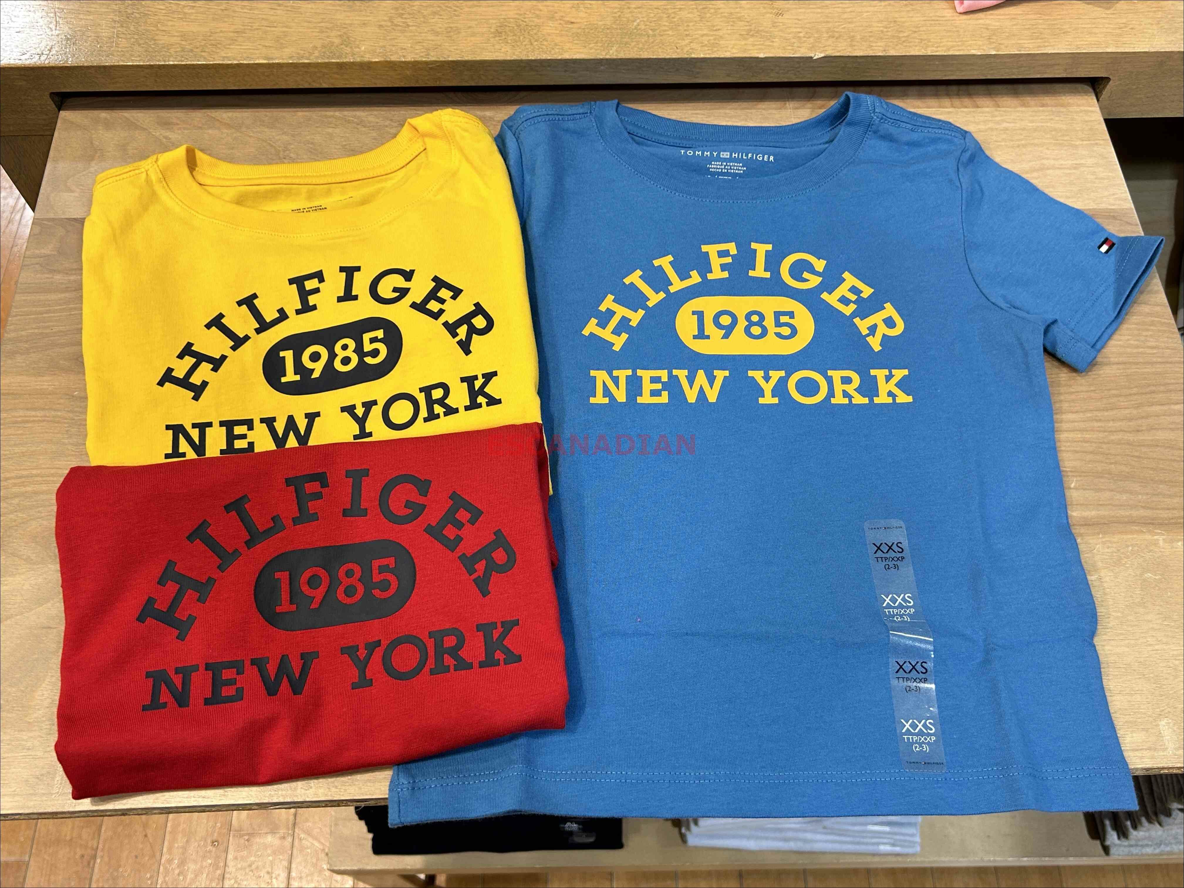 TOMMY 男大童 圖案 短TEE (3色)