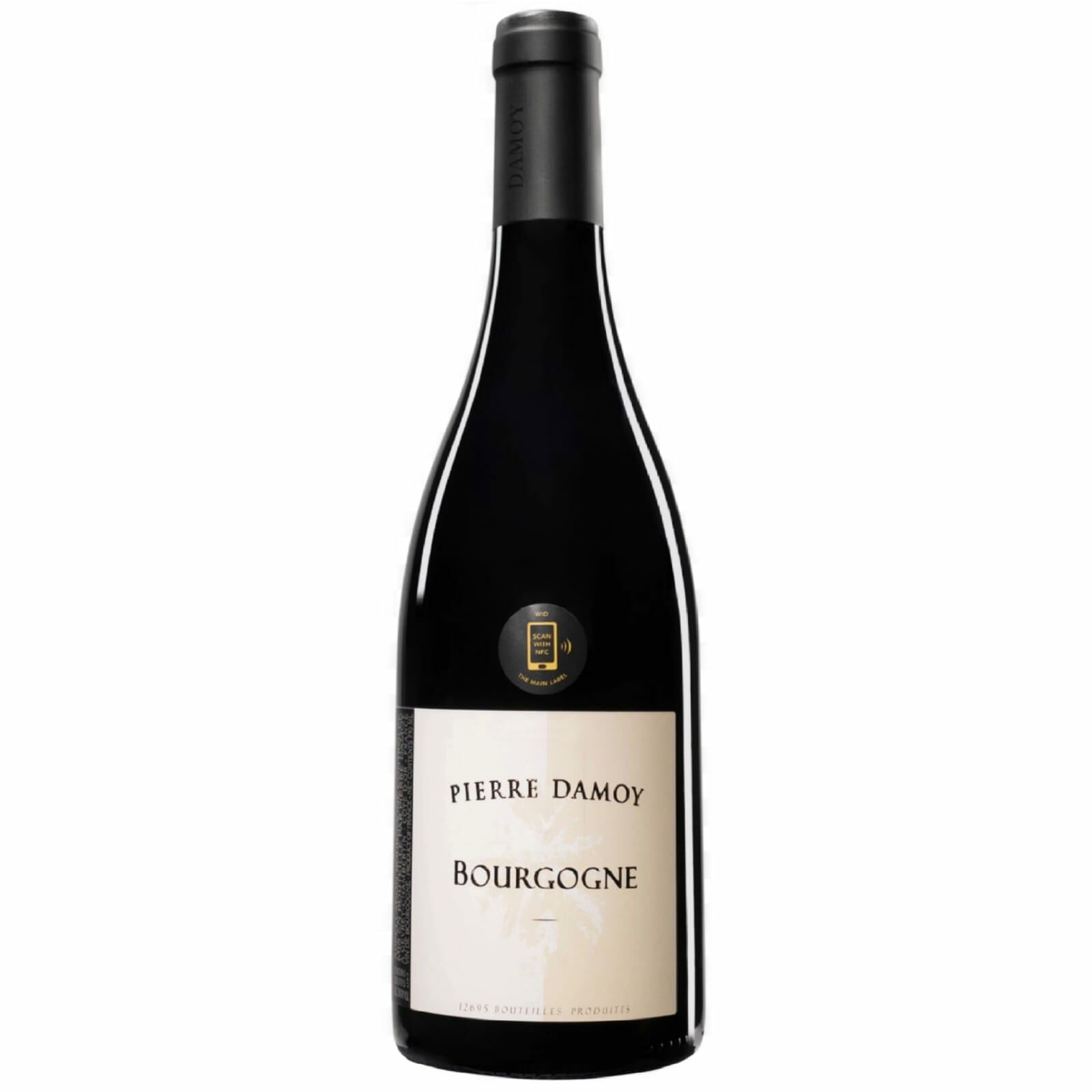 2019 Domaine Pierre Damoy Bourgogne Rouge Les Ravry