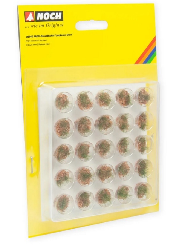 Noch 06910 乾草草叢