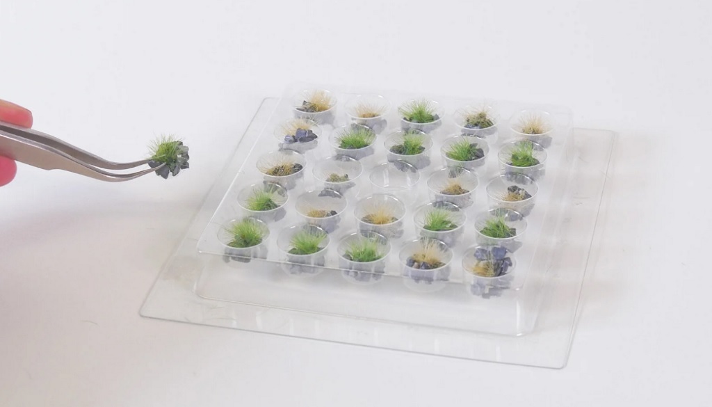 Noch 06920 石質草叢