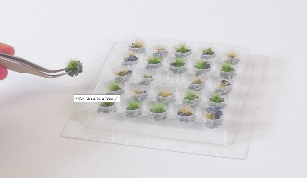 Noch 06921 石質草叢