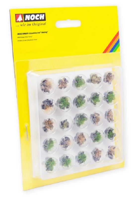 Noch 06921 石質草叢