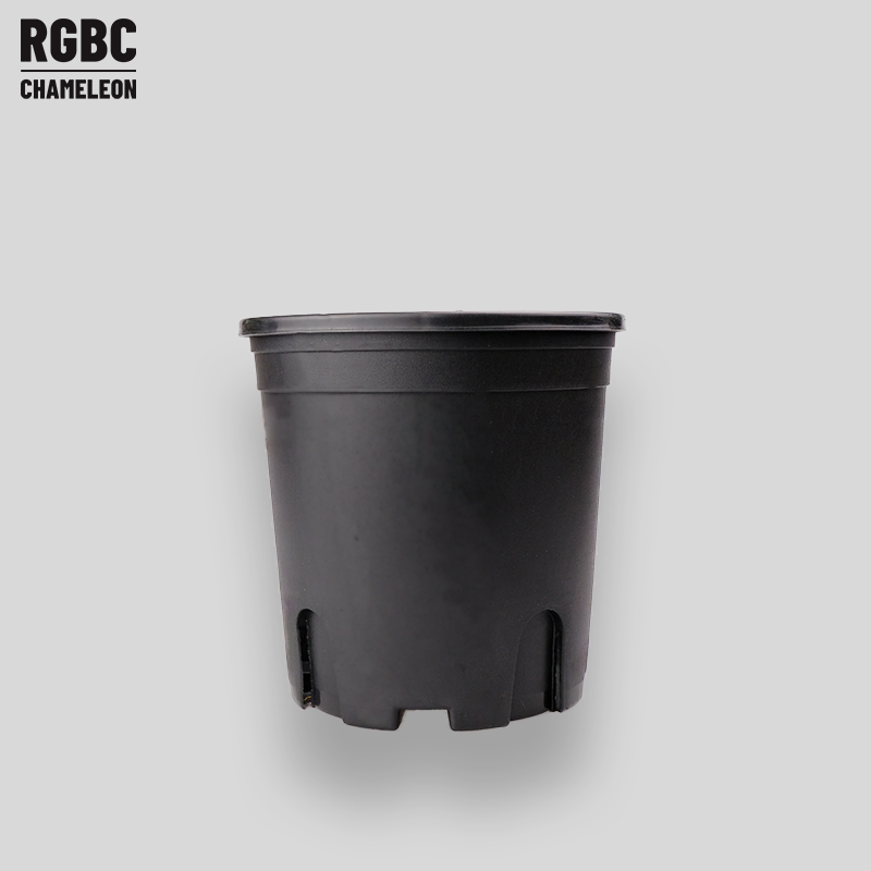 控根黑盆｜加侖黑盆