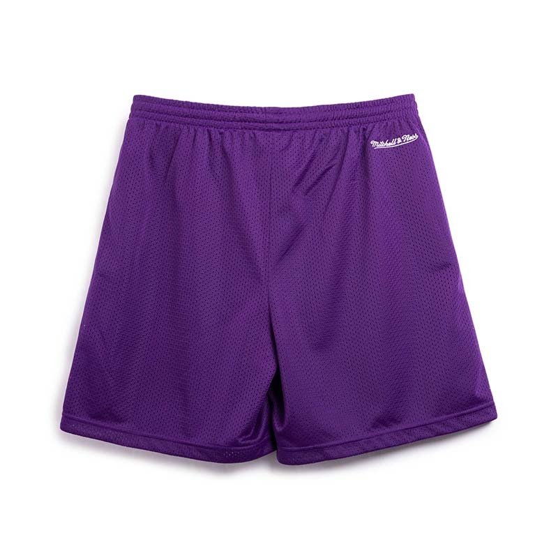Mitchell & Ness NBA Gameday Mesh Shorts 練習球褲 湖人 紫 MN24ASH01LAL [台灣現貨]