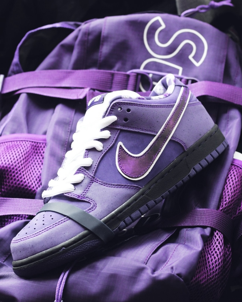 【Focus Store】預購 CONCEPTS x Nike Dunk SB Pro "Purple Lobster" 紫龍蝦 BV1310-555