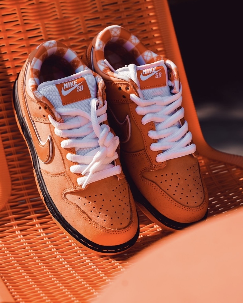 Focus Store】預購CONCEPTS x Nike Dunk SB Pro 
