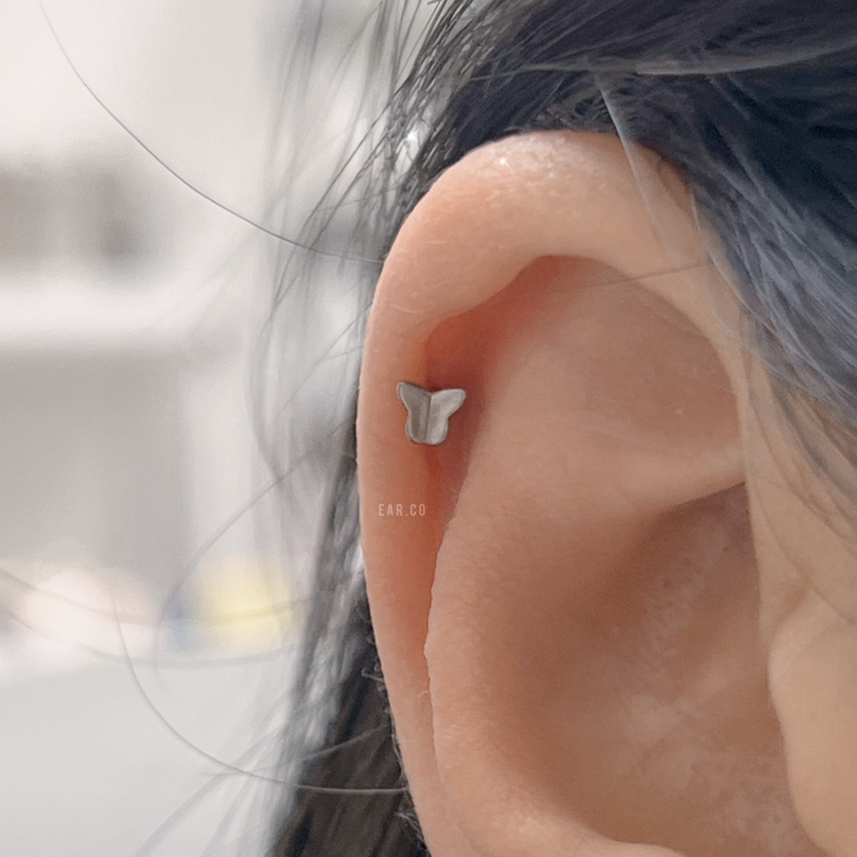 迷你立體光面小蝴蝶平頭耳門/耳珠/耳骨釘 [G23 Titanium]