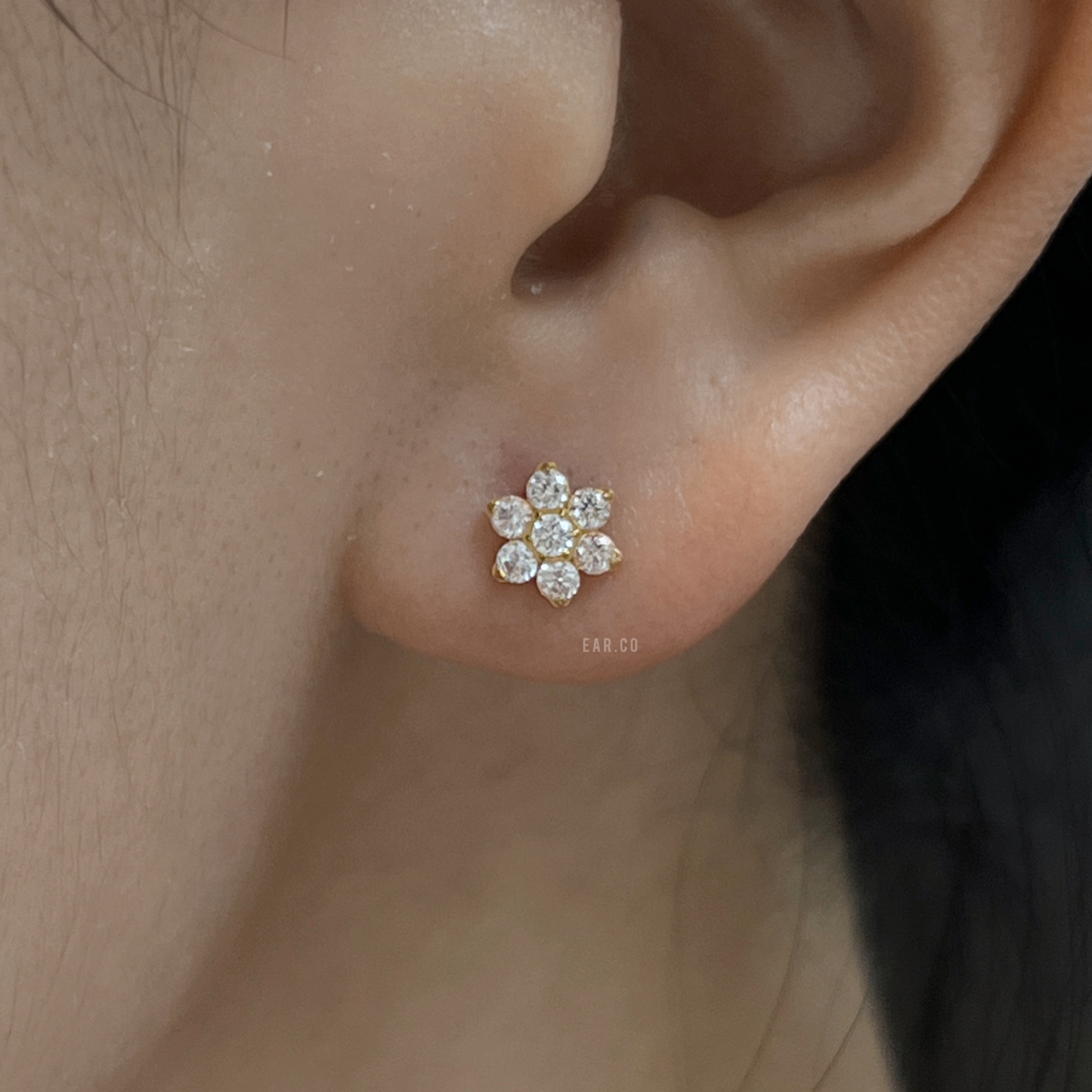 超閃六角大花花平頭耳門/耳珠/耳骨釘 [G23 Titanium]