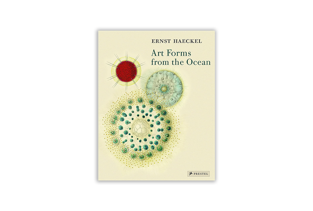 Art Forms from the Ocean: The Radiolarian Prints of Ernst Haeckel