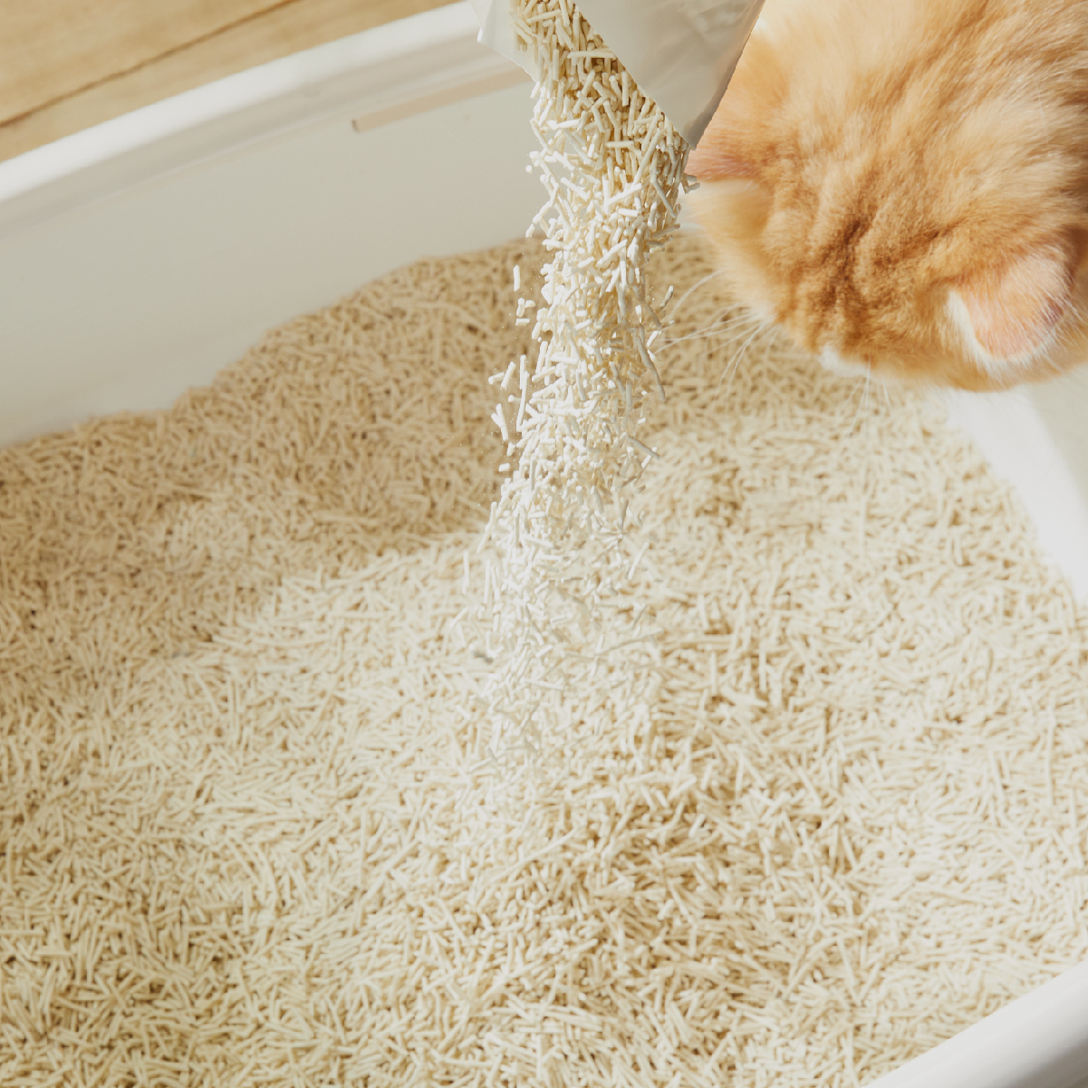 1.5mm細緻踩感,低粉塵抗粉化