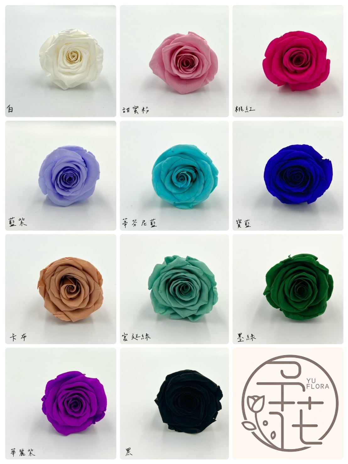 限量厄瓜多不凋玫瑰(無打膠6朵裝)